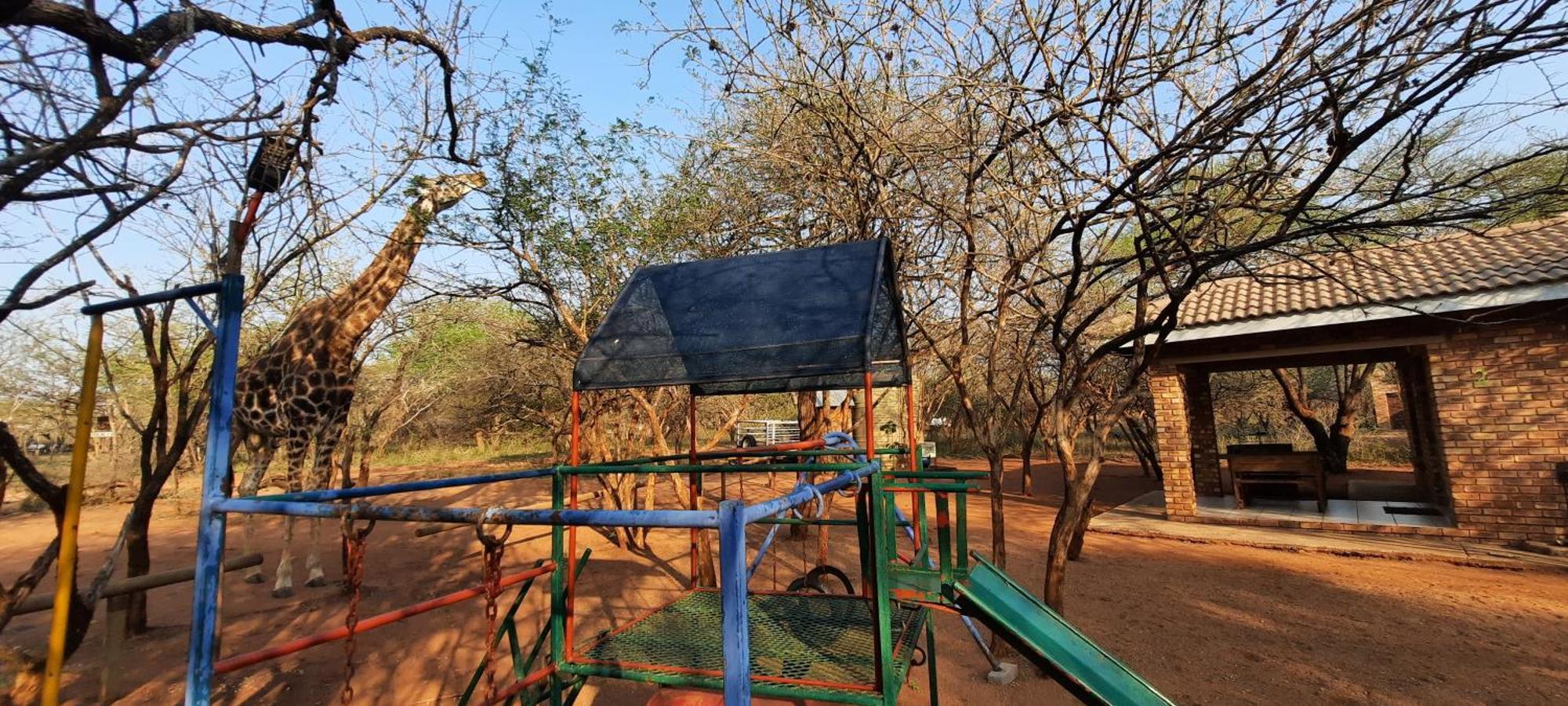 462 Bosbok Chalets مارلوث بارك الغرفة الصورة